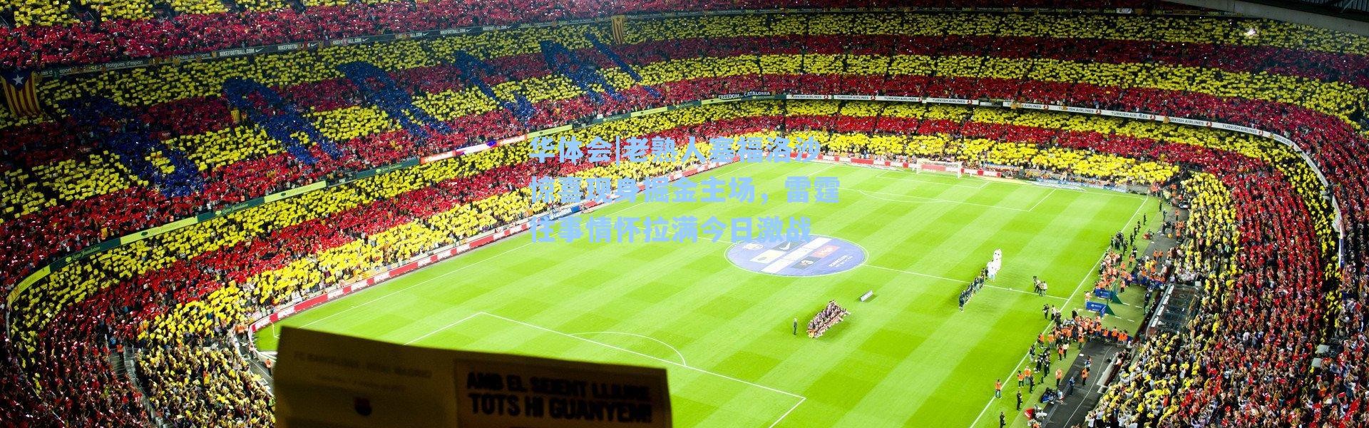 华体会|老熟人塞福洛沙惊喜现身掘金主场，雷霆往事情怀拉满今日激战