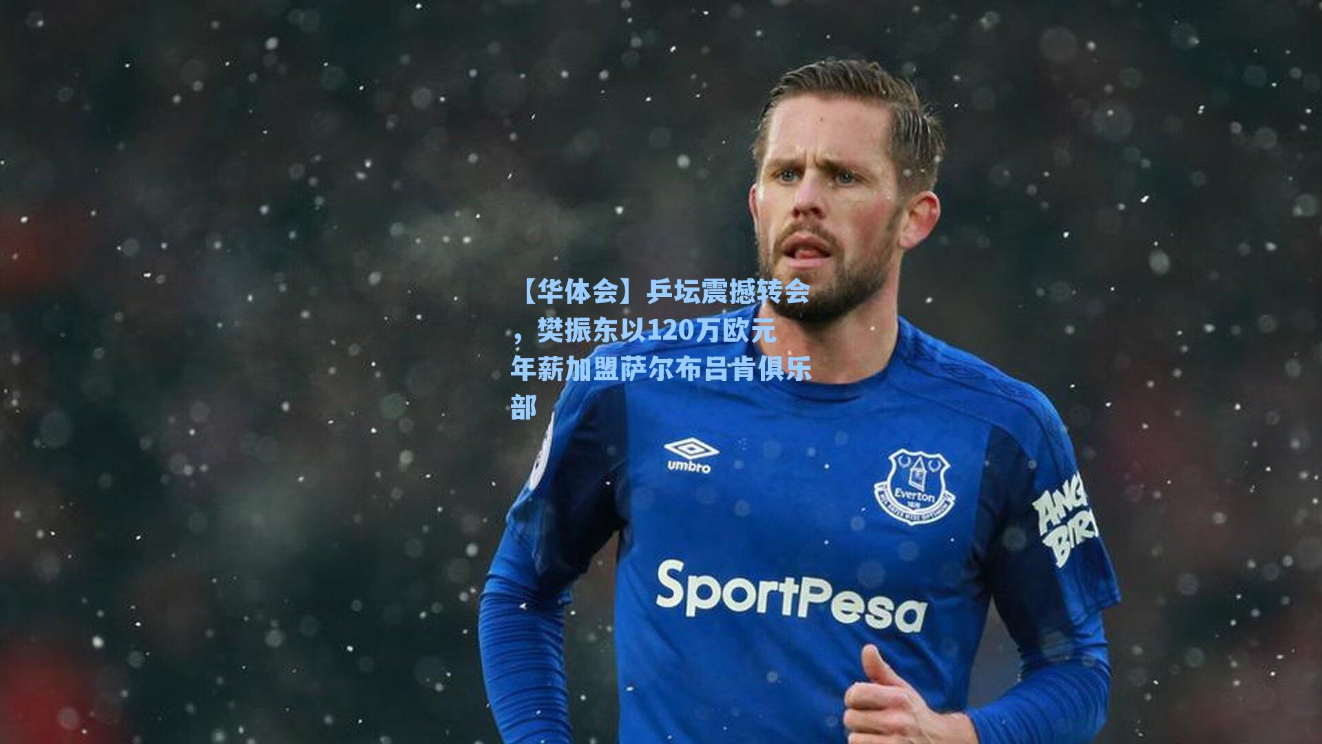 乒坛震撼转会，樊振东以120万欧元年薪加盟萨尔布吕肯俱乐部