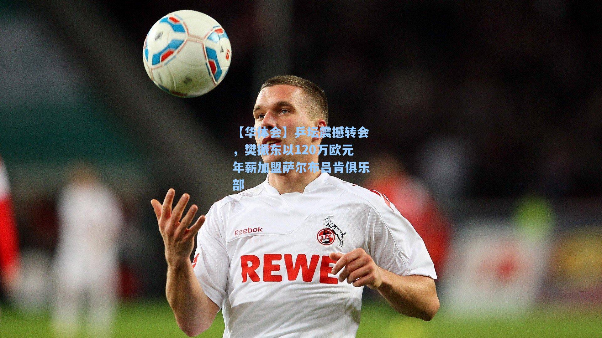 乒坛震撼转会，樊振东以120万欧元年薪加盟萨尔布吕肯俱乐部